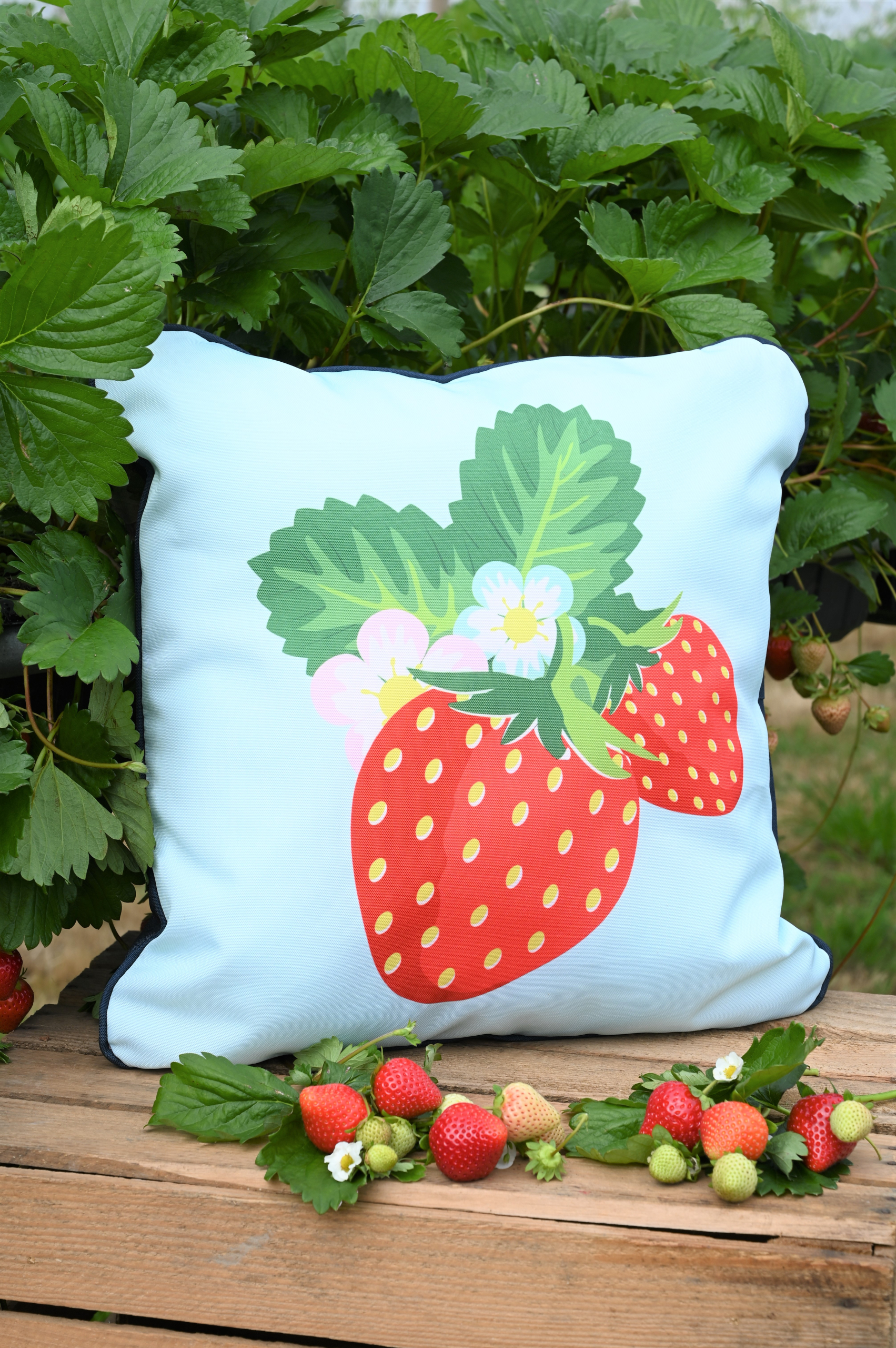 Strawberries & Cream outdoor cushion