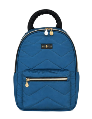 36793 Cambridge teal backpack